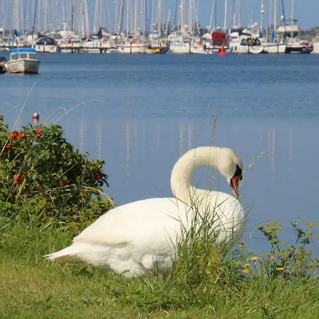 Lägenhet 2zi-ferienwohnung Am Suedstrand Mit Eigenem Parkplatz Perfekt Fuer Familie